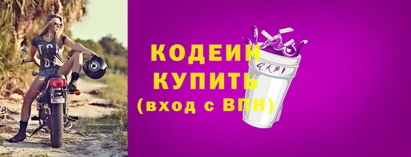 хмурый Горно-Алтайск